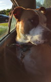 Soter (HP) - ADOPTED 3.13.16