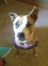 Soter (HP) - ADOPTED 3.13.16