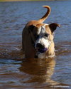 Soter (HP) - ADOPTED 3.13.16