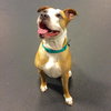 Soter (HP) - ADOPTED 3.13.16
