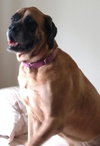 Princess Charlotte-ADOPTED-7.30.15