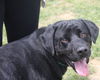 Fernando ♥ - ADOPTED-11.14.15