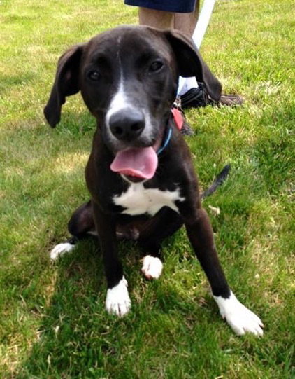 Tux-ADOPTED-7.18.15