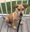 Tipton - ADOPTED 07.16.15