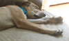 Tipton - ADOPTED 07.16.15