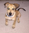 Tipton - ADOPTED 07.16.15