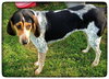 Blake - Do - ADOPTED-10.10.15