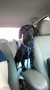 Coney-ADOPTED-7.13.15