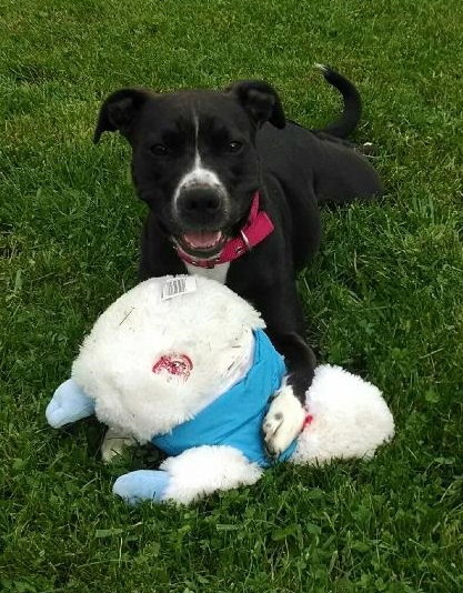 Princess Lily - ADOPTED 07.24.15
