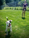 Mr. Zeus - ADOPTED-10.7.15