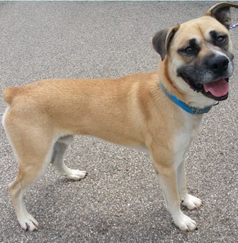 Thunder-ADOPTED-8.1.15