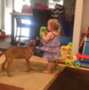 Ho Litter Odesza (Bonded Pair) -ADOPTED 08.15.15