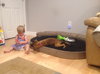 Ho Litter Odesza (Bonded Pair) -ADOPTED 08.15.15