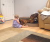 Ho Litter Odesza (Bonded Pair) -ADOPTED 08.15.15