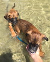 Ho Litter Melia (Bonded Pair) - ADOPTED 08.15.15