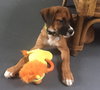Ho Litter Aviva - ADOPTED 07.29.15