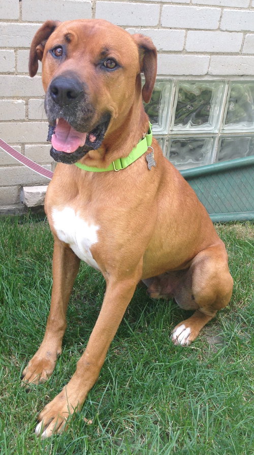 Mittag - ADOPTED 08.17.15