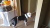 River - ADOPTED 02.05.18