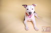 River - ADOPTED 02.05.18