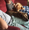 Ko Litter - Triskit - ADOPTED-11.27.15