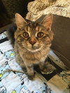 Robin - ADOPTED 02.27.16