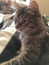 Robin - ADOPTED 02.27.16