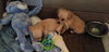 No Litter McGee - ADOPTED 09.12.15