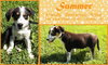 Oo Litter Prairie - ADOPTED 09.03.15