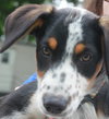 Oo Litter Prairie - ADOPTED 09.03.15