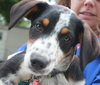 Oo Litter Prairie - ADOPTED 09.03.15