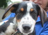 Oo Litter Prairie - ADOPTED 09.03.15