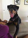 Kingsley - ADOPTED-10.3.15