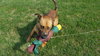 Flynn - ADOPTED-10.23.15