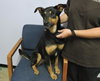 Brandywine - ADOPTED-11.27.15