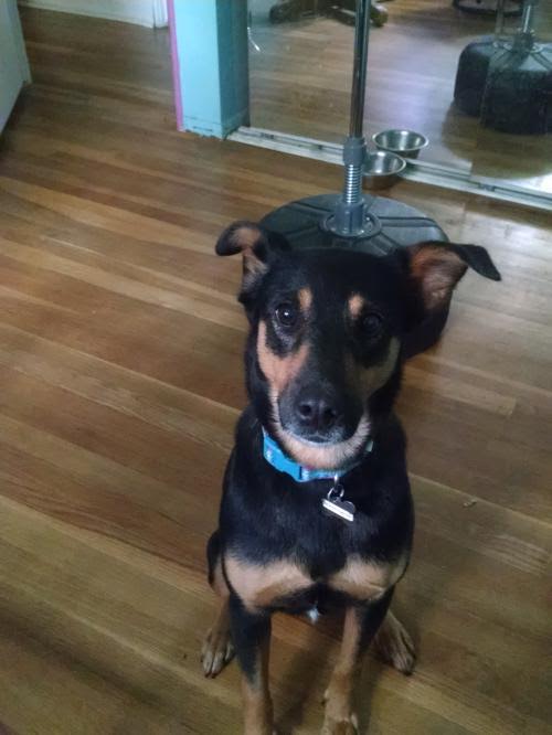 Brandywine - ADOPTED-11.27.15