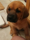 Qo Litter Madonna - ADOPTED 09.12.15