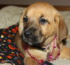 Qo Litter Madonna - ADOPTED 09.12.15