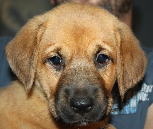 Qo Litter Madonna - ADOPTED 09.12.15