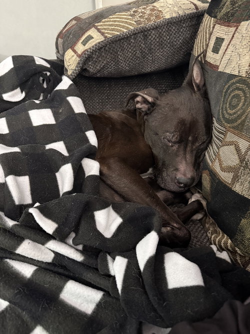 Rosie