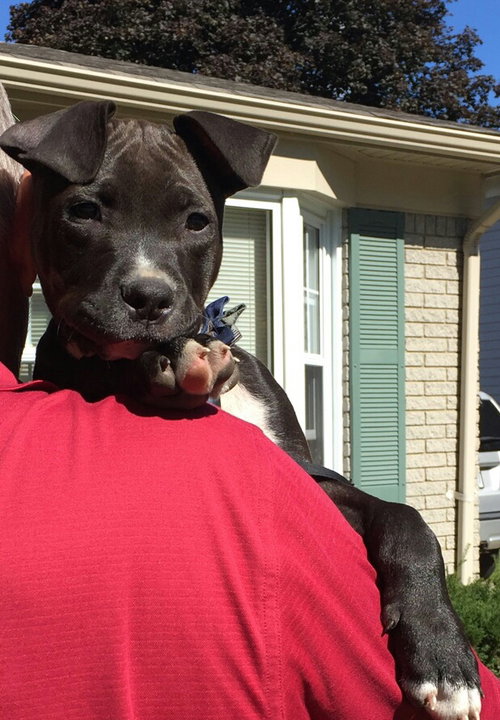 Rosie, photo 12