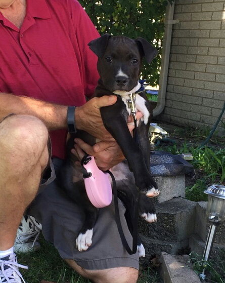 Rosie, photo 14