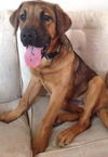 George - ADOPTED-9.27.15