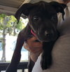 Kristen - ADOPTED 10.05.15