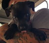 Kristen - ADOPTED 10.05.15