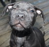 Kristen - ADOPTED 10.05.15