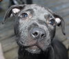 Kristen - ADOPTED 10.05.15