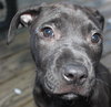 Kristen - ADOPTED 10.05.15