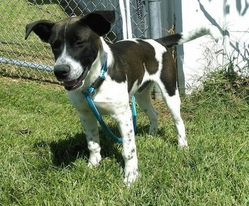 Crosby - ADOPTED 10.11.15