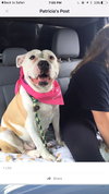 Kona - ADOPTED 11.07.15