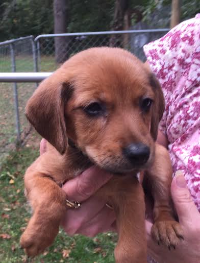 So Litter Maze - ADOPTED 10.07.15